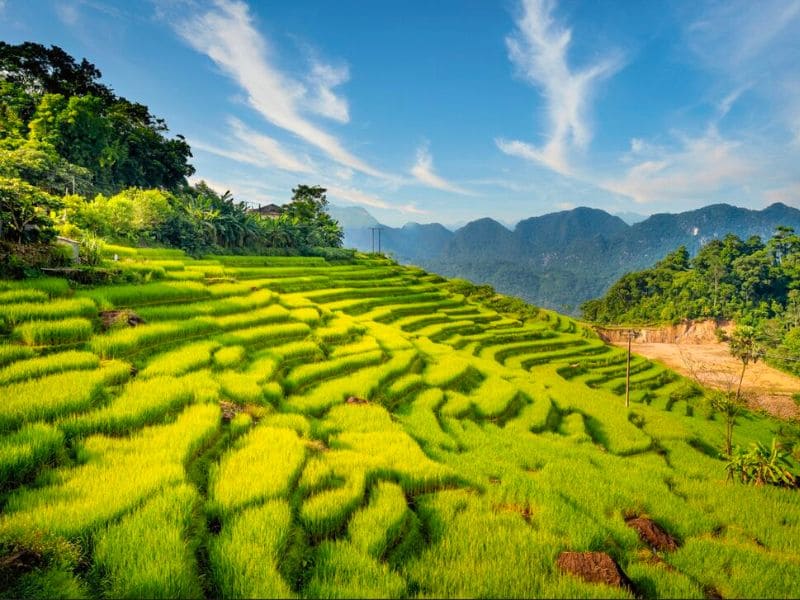 Pù Luông Thanh Hoá
