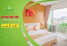 Palm Hotel Tiếp Tục Mở Cửa Đón Khách Với Ưu Đãi Hấp Dẫn Mùa Dịch Covid -19