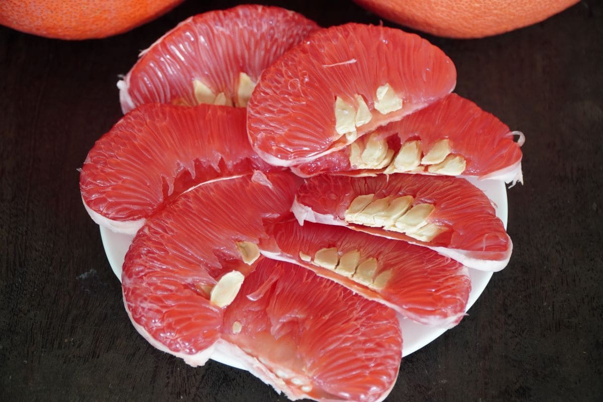 Bưởi tiến vua