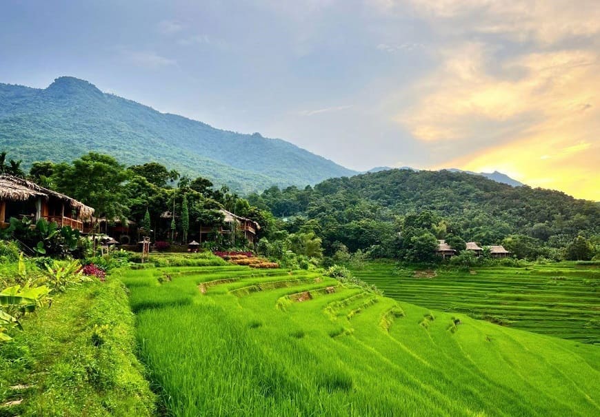 Bản Đôn